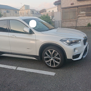 X1 xDrive 18d