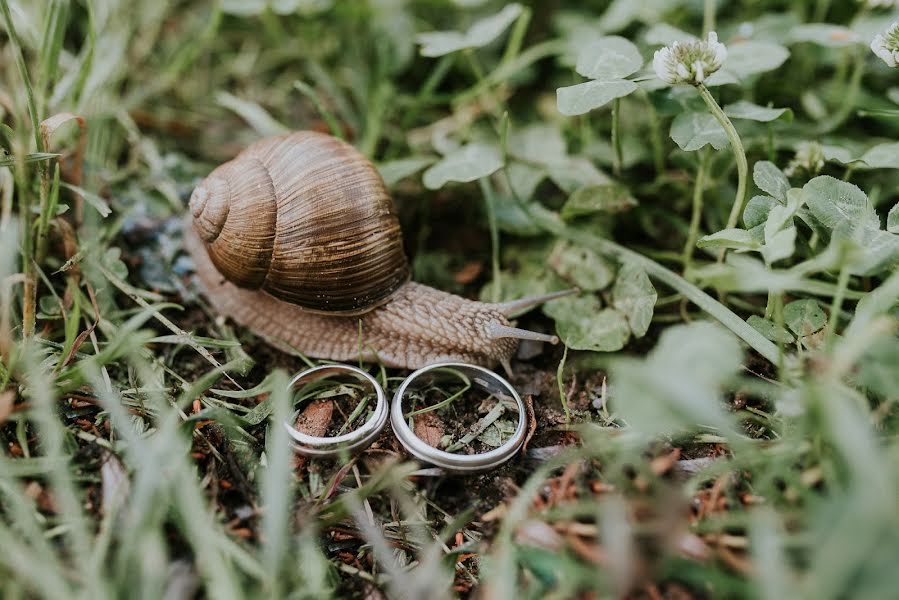 Hääkuvaaja Reinis Melioranskis (fotoreinis). Kuva otettu 25. heinäkuuta 2019