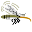 Mosquito Kill Download on Windows