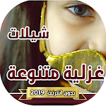 Cover Image of Descargar شيلات غزلية متنوعة 2019 بدون انترنت 1.0 APK