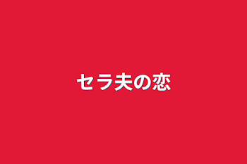 「セラ夫の恋」のメインビジュアル