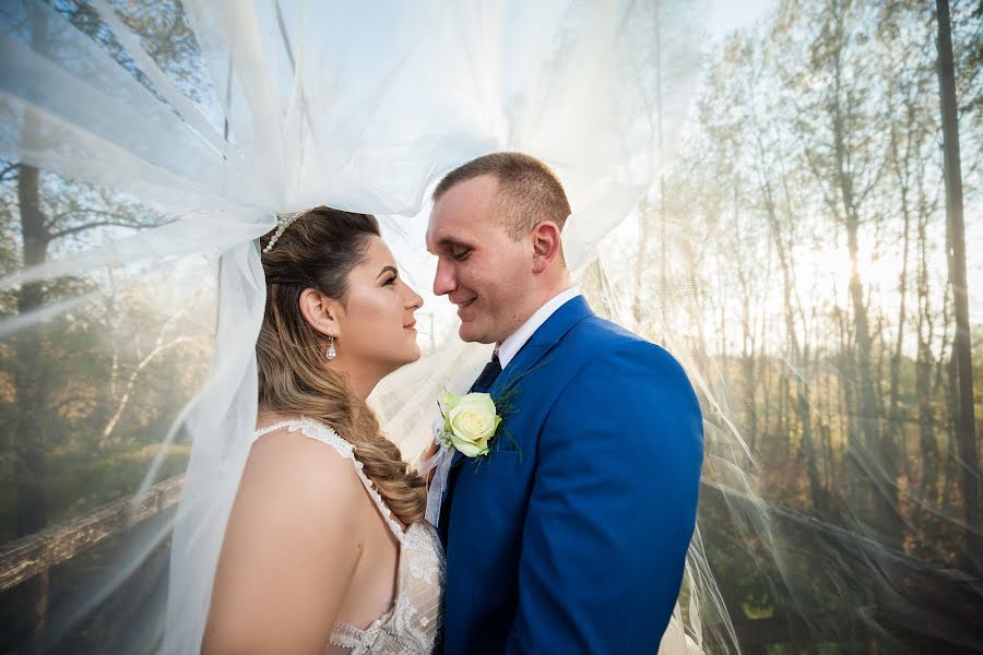 Photographe de mariage Ivan Cerović (cerovic85). Photo du 7 décembre 2018