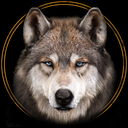 Lone Wolf Wallpapers HD