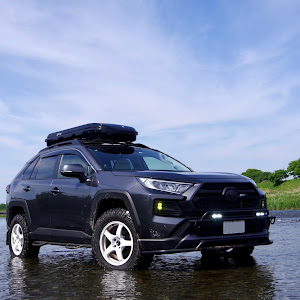 RAV4 MXAA54