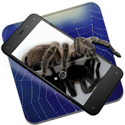 Spider in Phone Live Wallpaper  Icon