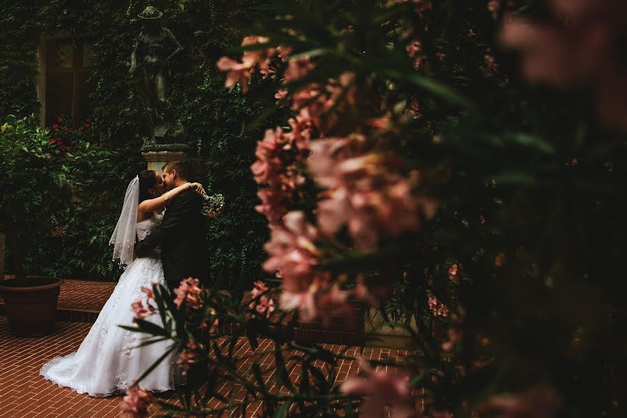 Fotografo di matrimoni Gábor Badics (badics). Foto del 26 giugno 2018