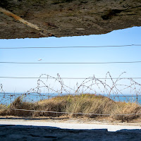 dal bunker di 