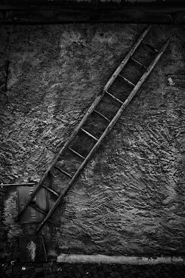 Scala di grigi di Mauro crippa