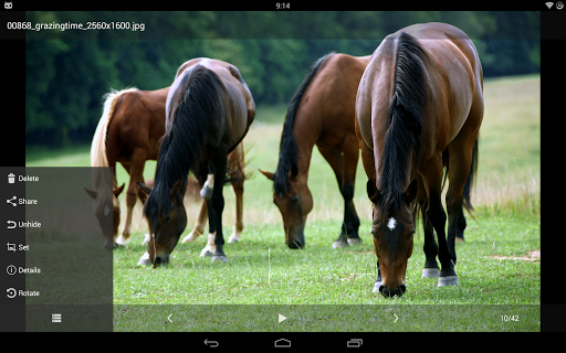 Hide Photos, Video and App Lock - Hide it Pro 7.3 screenshots 9