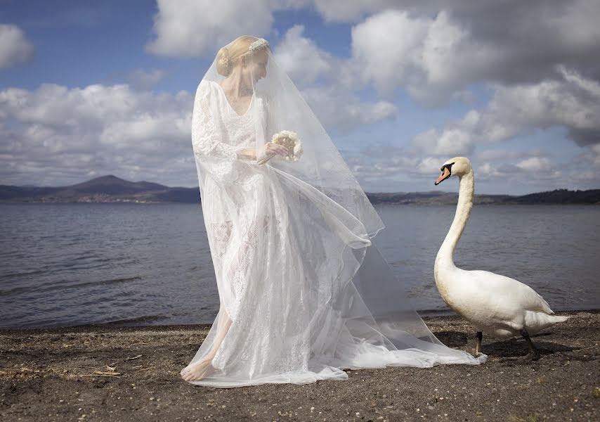 Fotografo di matrimoni Elena Letis (letis). Foto del 24 marzo