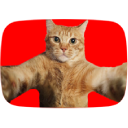 Catify