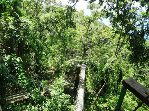 Dunn's River Falls & Rainforest Jamaica 2013