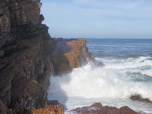 Cape Point South Africa 2018