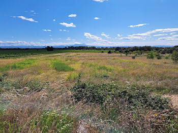 terrain à Laudun-l'Ardoise (30)