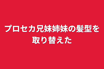 「プロセカ兄妹姉妹の髪型を取り替えた」のメインビジュアル