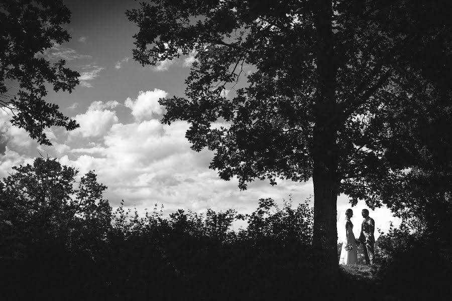Bryllupsfotograf Josef Fedak (joseffedak). Bilde av 19 juni 2016