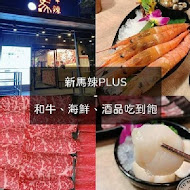 新馬辣經典麻辣鍋(漢中店)