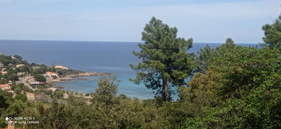 Vente maison 4 pièces 120 m² à Sainte lucie de porto vecchio (20144), 445 000 €