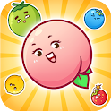 Icon Fruit Drop Fusion Fun