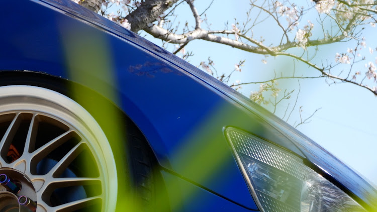 アルテッツァの桜と愛車・桜・シャコタン?・撮影会・キャン増し欲に関するカスタム事例の投稿画像7枚目