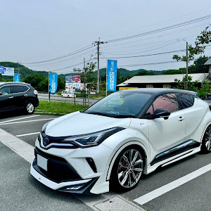 C-HR ZYX11