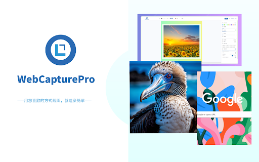 Screenshot (Capture Page) Tool - WebCapturePro