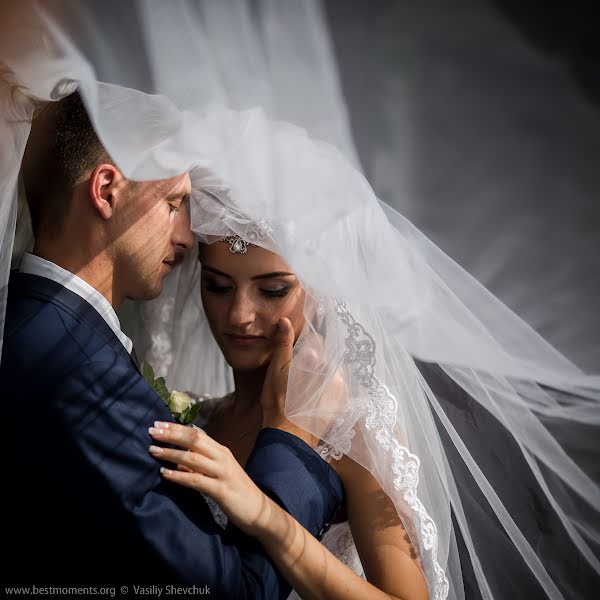 Wedding photographer Vasiliy Shevchuk (shevchuk). Photo of 13 December 2016