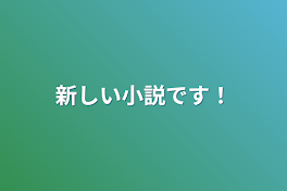 新しい小説です！