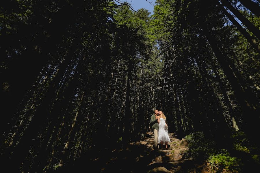 Fotografo di matrimoni László Fülöp (fuloplaszlo). Foto del 20 ottobre 2017