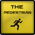 The Pedestrian Puzzle Game5.0