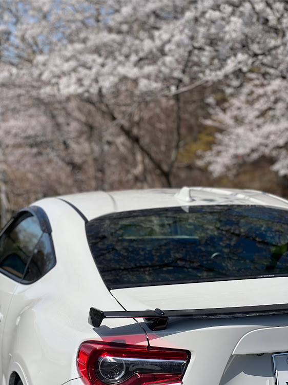 86のサクラと愛車・ZN6・86・ダム・地元桜に関するカスタム事例の投稿画像3枚目