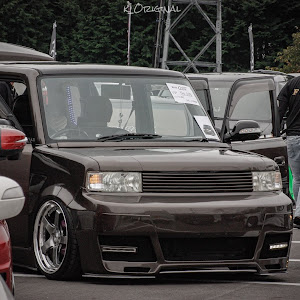 bB NCP31