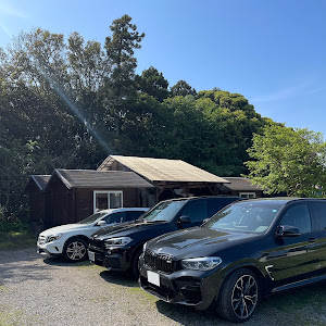 X5 xDrive 35d