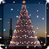 Christmas Tree Live Wallpaper icon