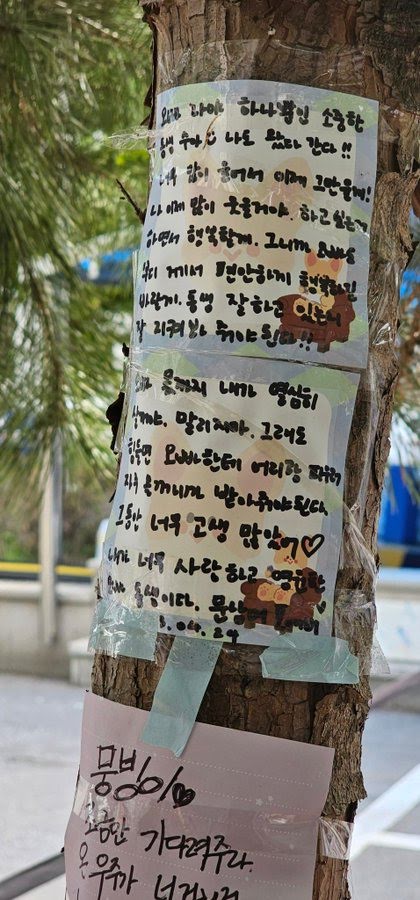 ASTRO and Rocky: Read all ASTRO members' emotional letters to Moonbin at  his memorial