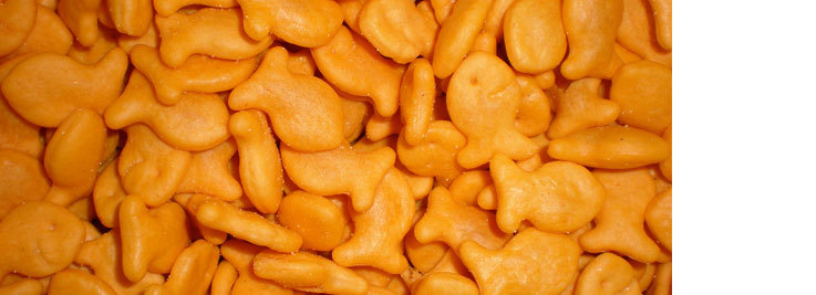 a pile of cheesy Goldfish crackers