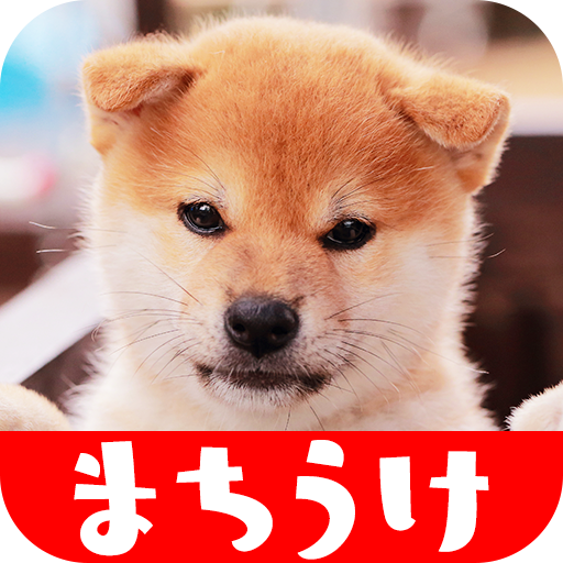 ブロッサム 惨めな ブローホール 壁紙 犬 Racnote Jp