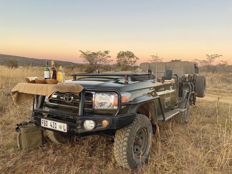 A game drive at Mhondoro Safari Lodge & Villa.