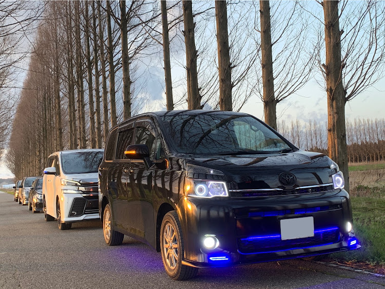 ヴォクシーの4"86spec・ヴォクシー・メタセコイヤ並木・オフ会・MTに関するカスタム事例の投稿画像4枚目