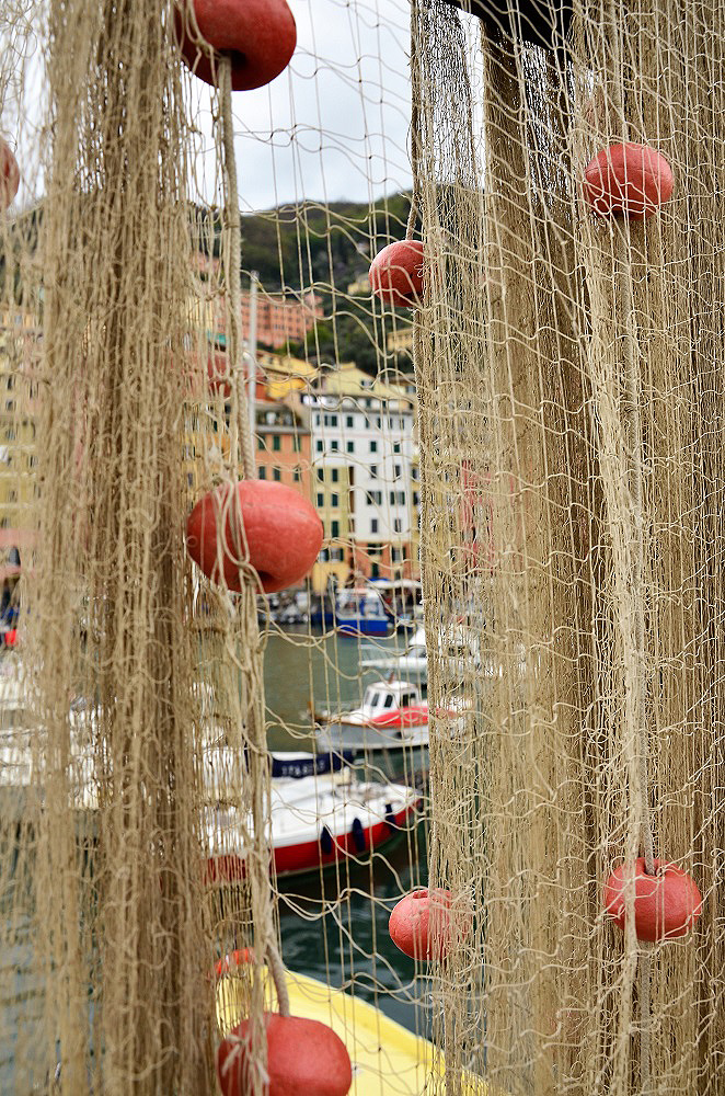 Camogli@in.rete.it di ely50