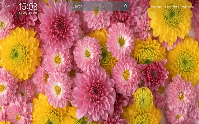 Yellow Flowers Wallpapers New Tab