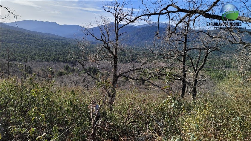 CERRO del PUERCO por LA CACERA y las TRINCHERAS VALSAIN