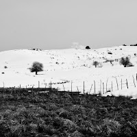 L'ultima neve di 