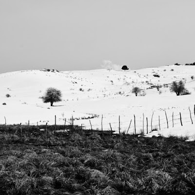 L'ultima neve di godzillante