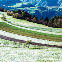 l'inverno dopo la primavera di 