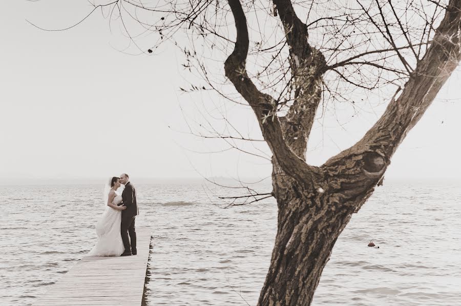 Fotografo di matrimoni Tiziana Nanni (tizianananni). Foto del 24 agosto 2016