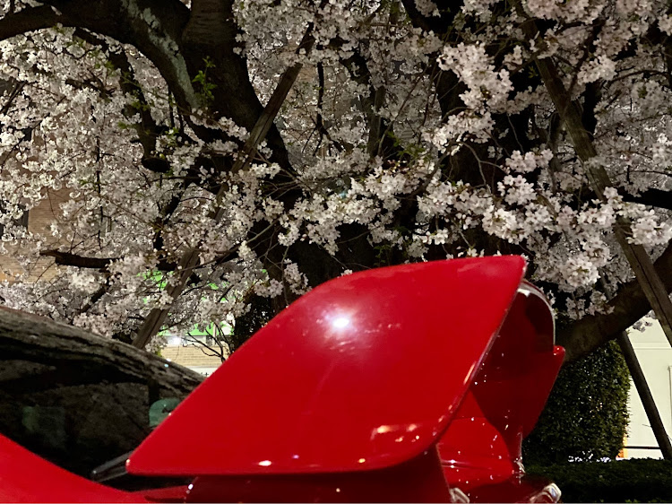 WRX STIの桜に関するカスタム事例の投稿画像3枚目