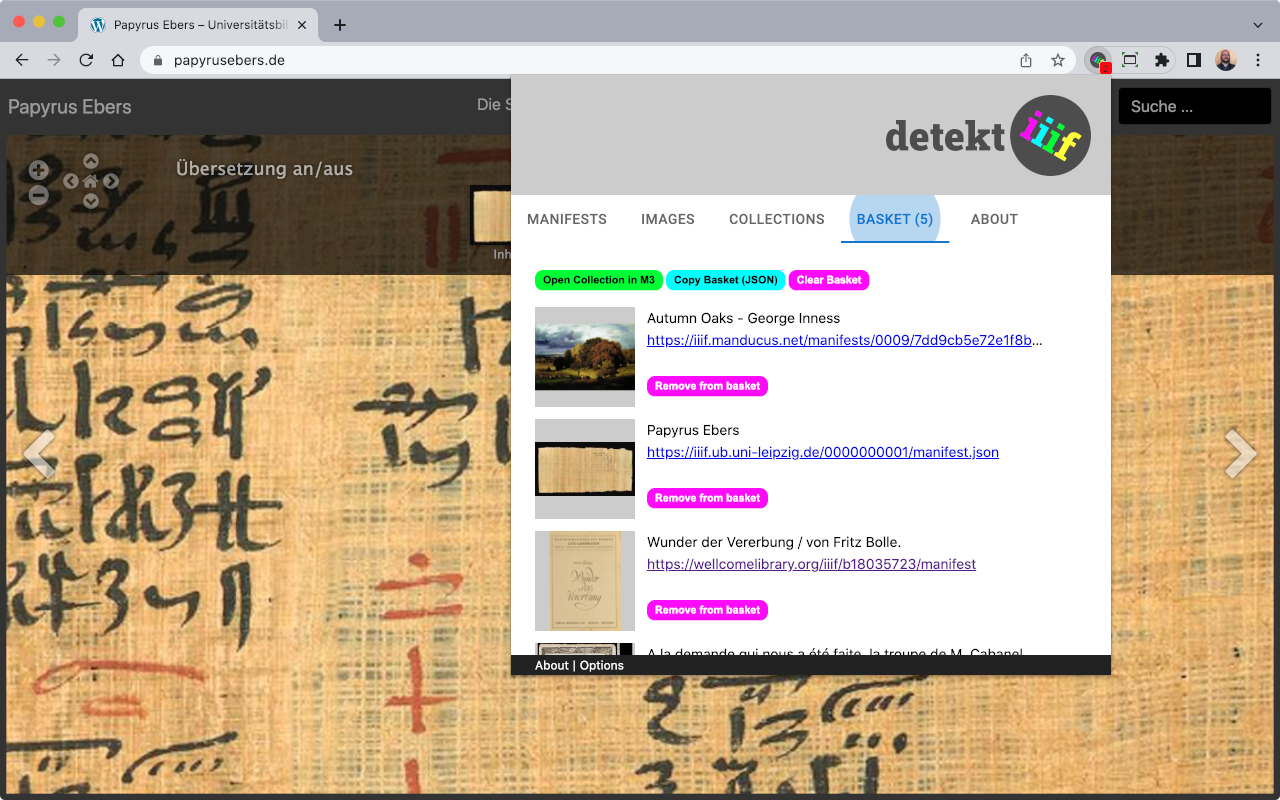 detektIIIF2 Preview image 0