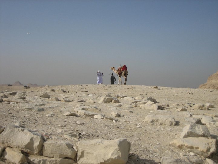 Soli, nel deserto di iaia