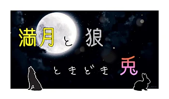 満月と狼、ときどき兎